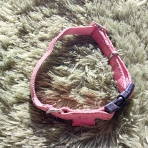 Collier en cuir MacLeather taille XS à S