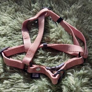 Harnais Martin Selliers taille S