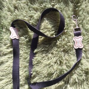 Laisse Vivog Elegance pour petit chien