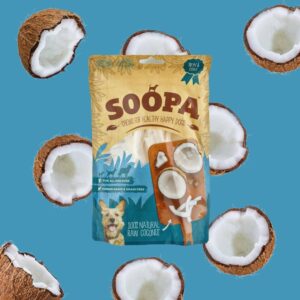 Chiens à mâcher naturels à la noix de coco