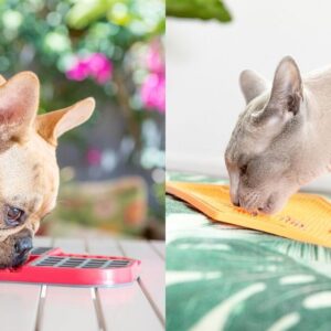 Tapis de lèche chien et chat