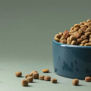 Croquettes
