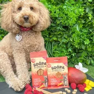 Friandises végétales
