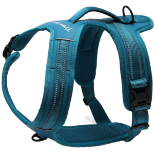 Harnais pour chien Truelove Forest - Bleu - L