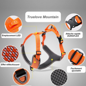Harnais pour chien Truelove Mountain - Orange - L