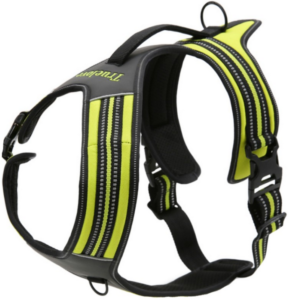 Harnais pour chien Truelove Forest – Jaune - M