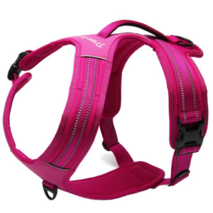 Harnais pour chien Truelove Forest – Rose – XL